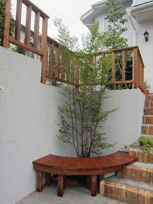 丸ベンチ＆シンボルツリー